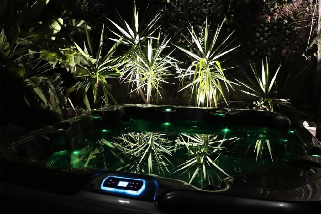 Luxury Jacuzzi Home & Terraces Málaga Exterior foto
